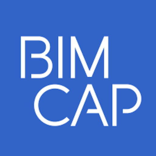 BIMCAP Standards